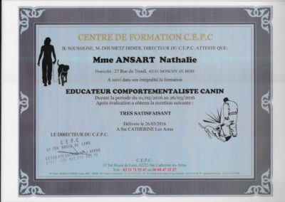 EDUCATEUR