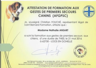 SECOURISME CANIN.jpeg