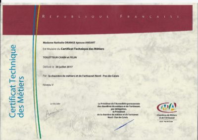 CTM recto