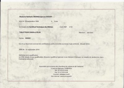 CTM verso