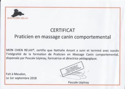 PRATICIEN EN MASSAGE CANIN COMPORTEMENTAL